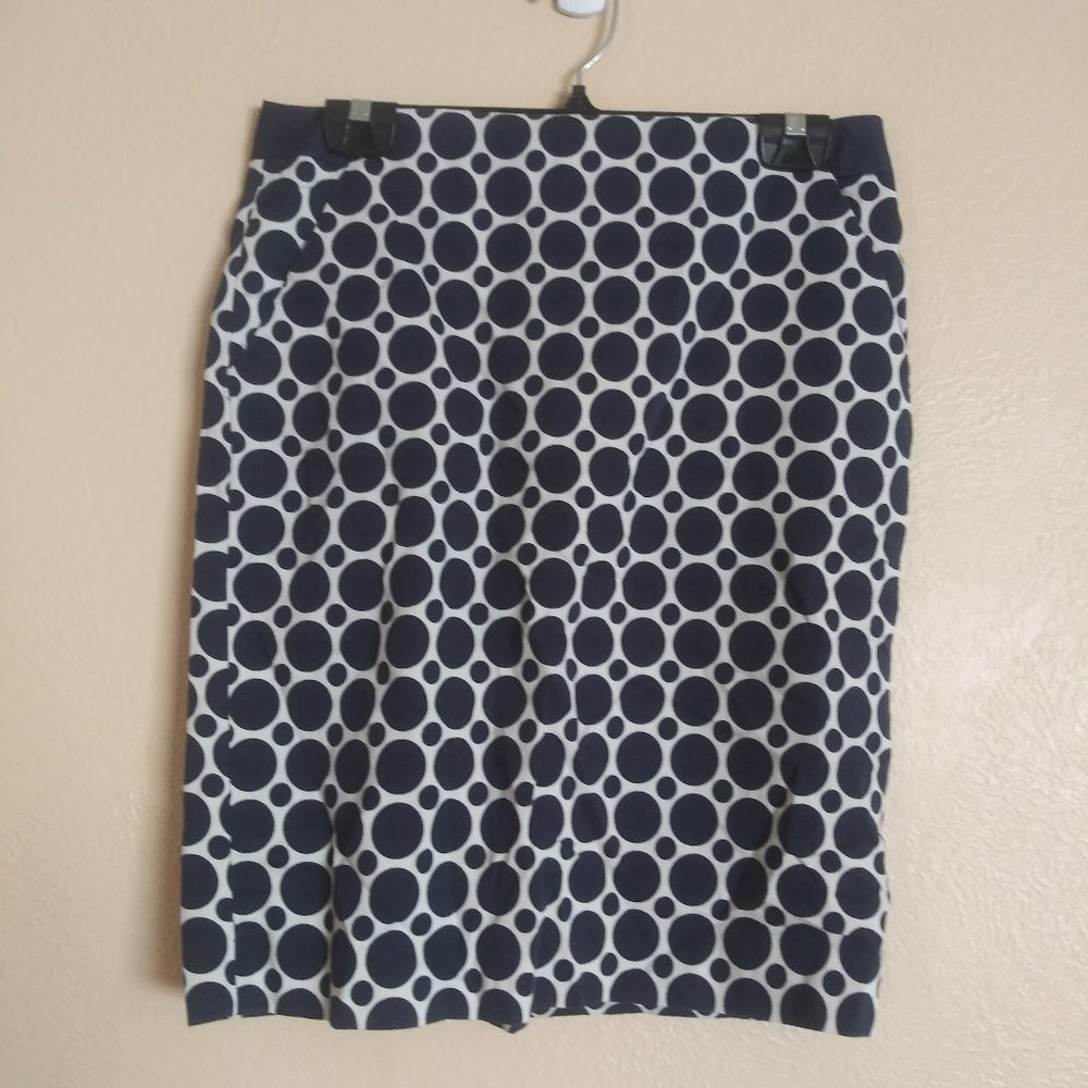 The Limited Blue and White Polka Dot Skirt Women's Size 6